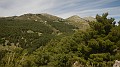 DSCN4731