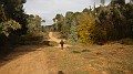 DSCN6284