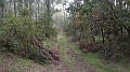 DSCN6288