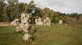 DSCN6312