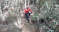 DSCN6333