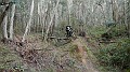 DSCN6365