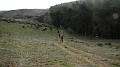DSCN6369