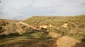 DSCN6376