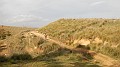 DSCN6377