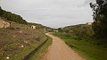DSCN6394