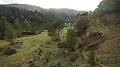 DSCN6397