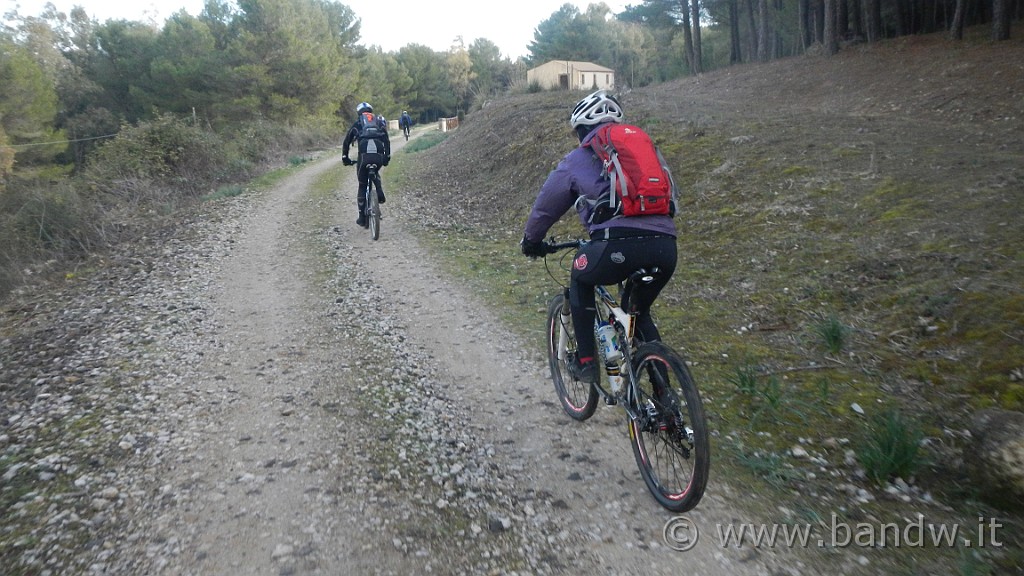 DSCN7330.JPG -                                