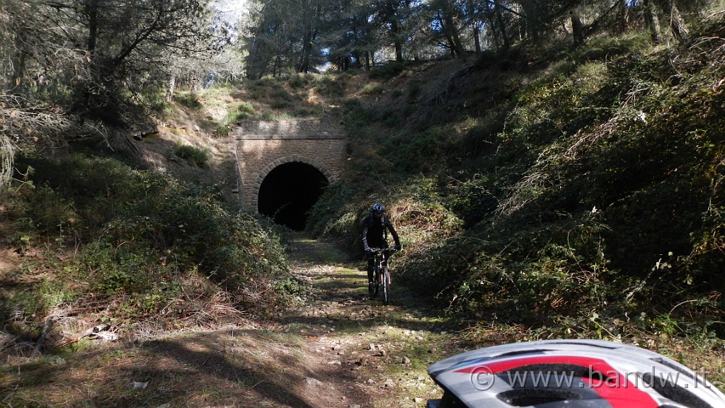 DSCN7356.JPG -                                
