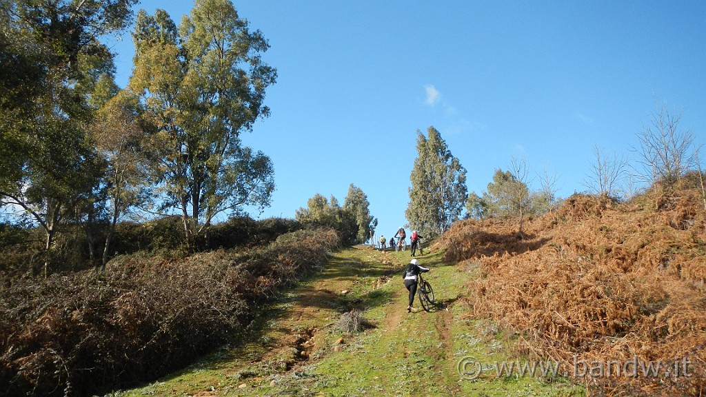 DSCN7363.JPG -                                