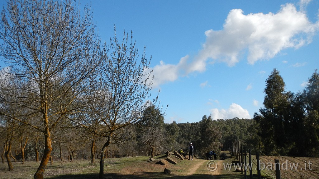 DSCN7365.JPG -                                