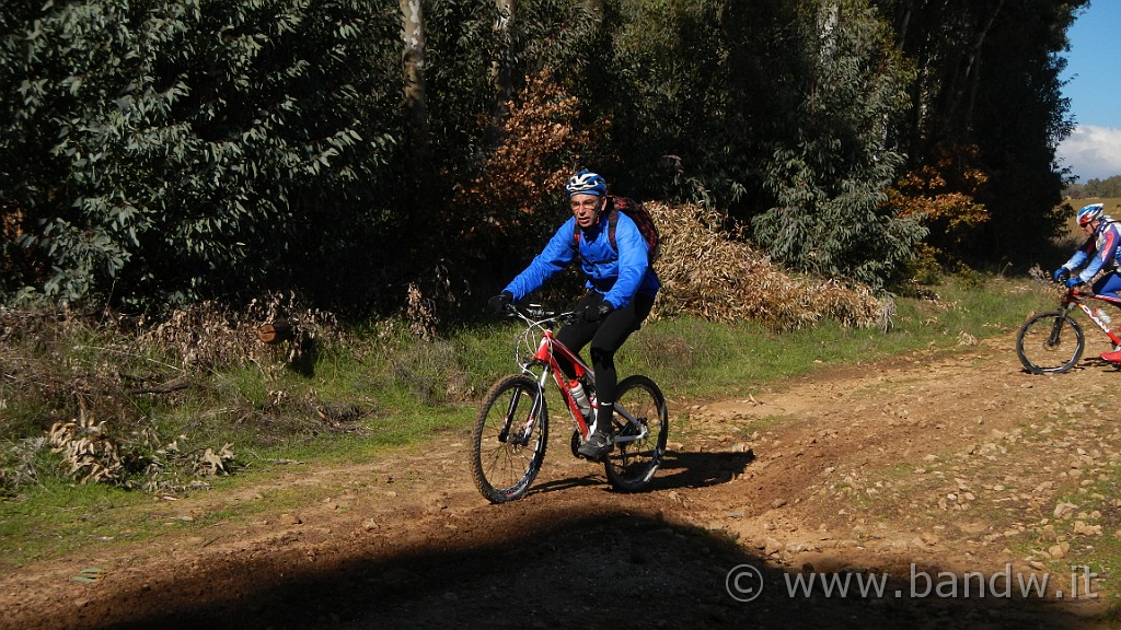 DSCN7378.JPG -                                
