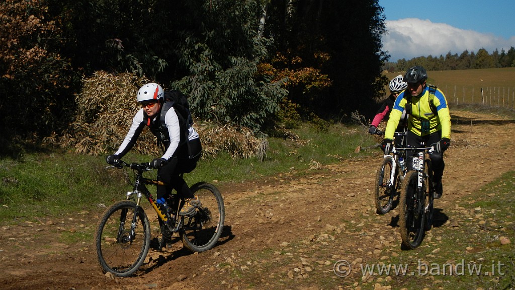DSCN7381.JPG -                                