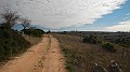 DSCN2299