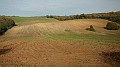 DSCN2316