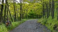 DSCN8224-01