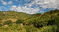 DSCN3591