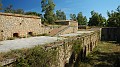 DSCN3601
