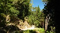 DSCN3615