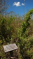 DSCN3626