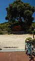 DSCN3657