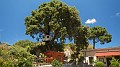 DSCN3659