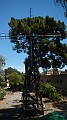 DSCN3661