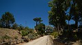 DSCN3664