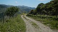 DSCN6272