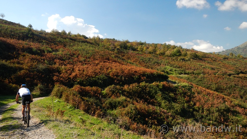 DSCN0128.JPG -                                