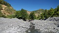 DSCN3474