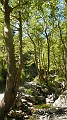 DSCN3477