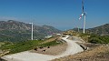 DSCN3484