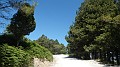 DSCN3488