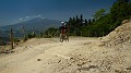 DSCN3493