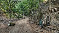 DSCN6765-01