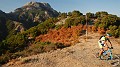 DSCN6771