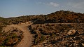 DSCN6787
