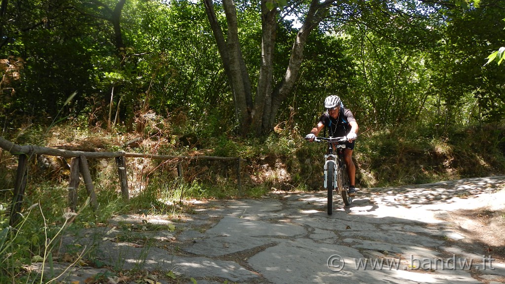 DSCN9271.JPG -                                