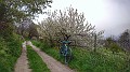 P_20180414_114109-01