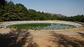 DSCN6667