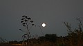 DSCN6692