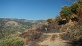 DSCN6707