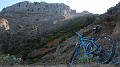 DSCN6734