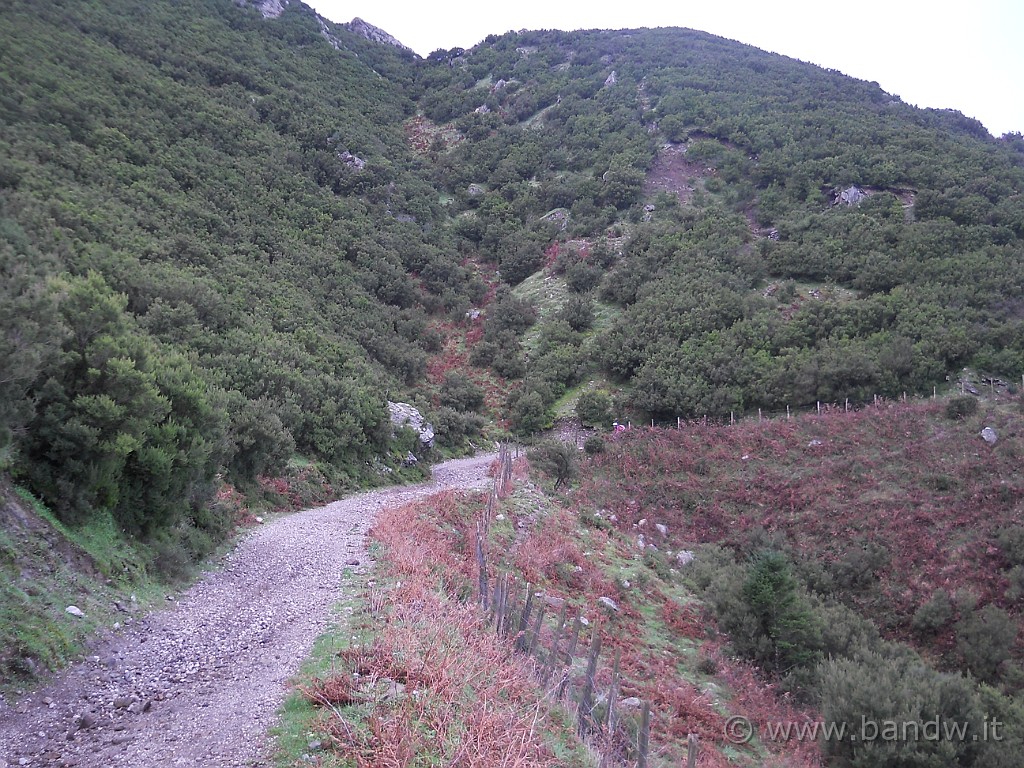 DSCN8724.JPG - Ancora Dorsale dei Peloritani