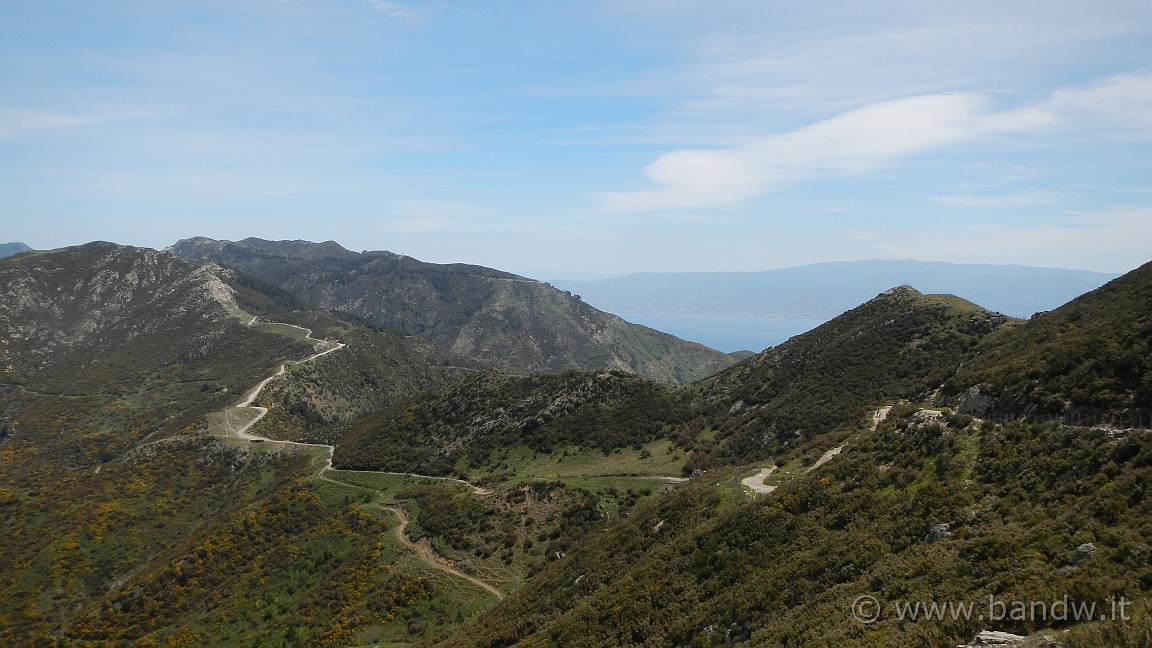 DSCN2545.JPG -                                