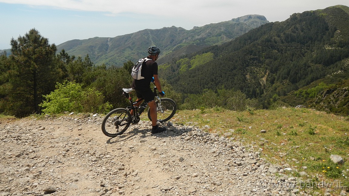 DSCN4709.jpg -                                