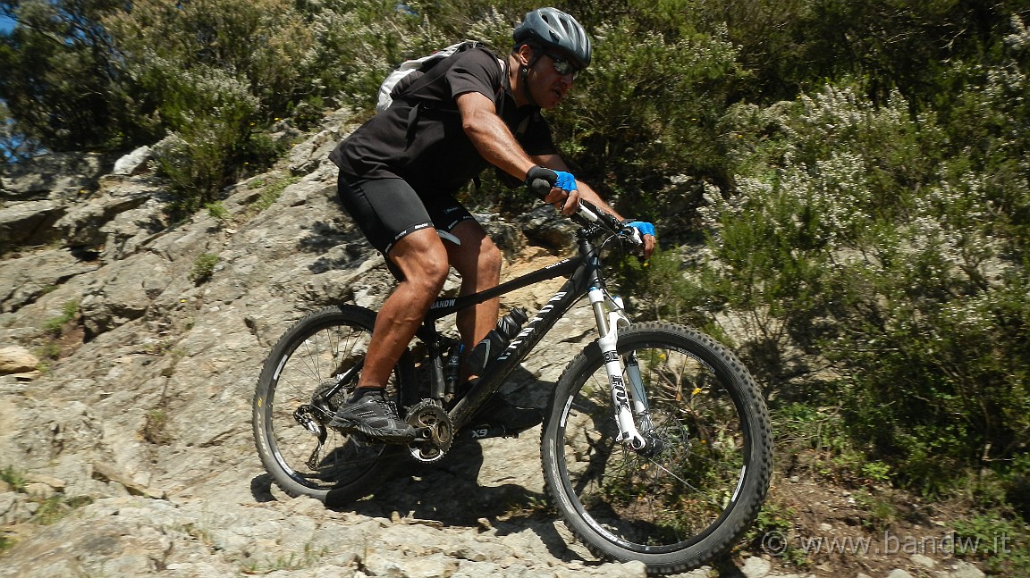 DSCN4862.jpg -                                