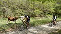 DSCN2524