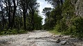 DSCN2529